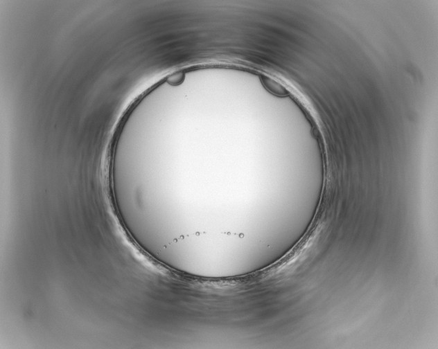 X0000111601053200907161210