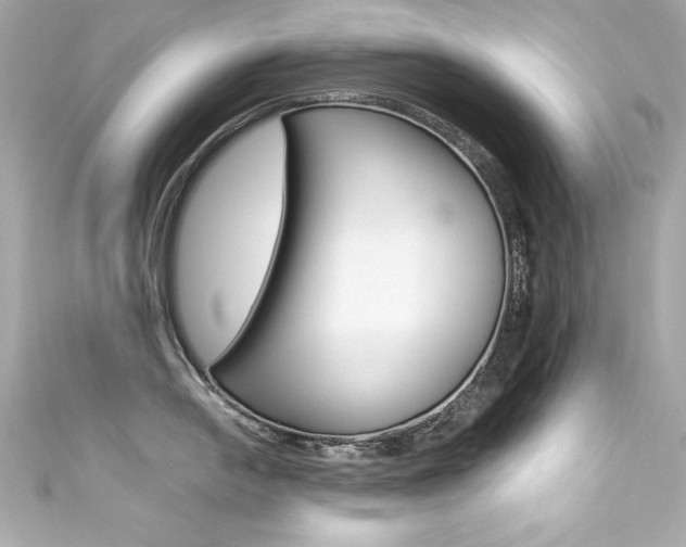X0000111601054200907161210
