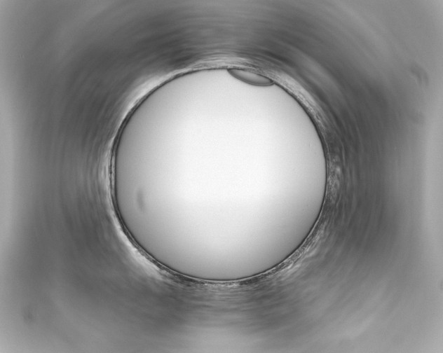 X0000111601055200907161210