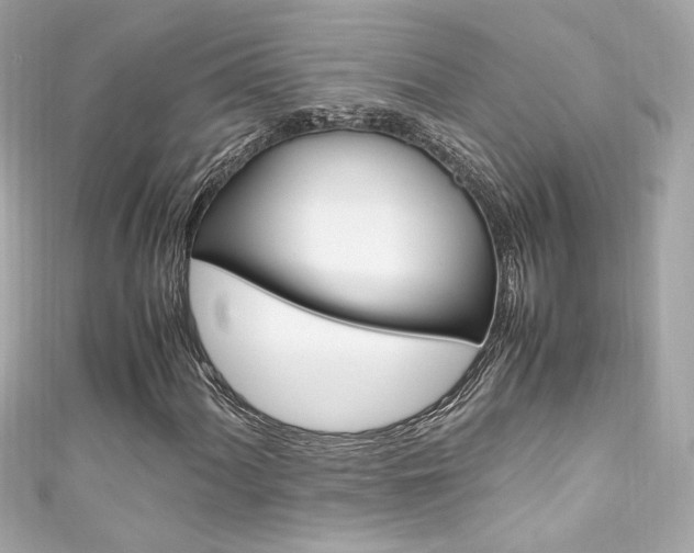 X0000111601060200907161209