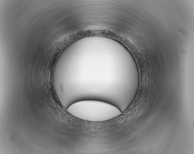 X0000111601062200907161209