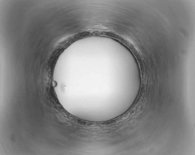 X0000111601063200907161209