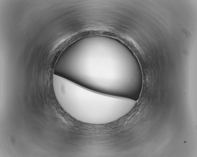 X0000111601064200907161209