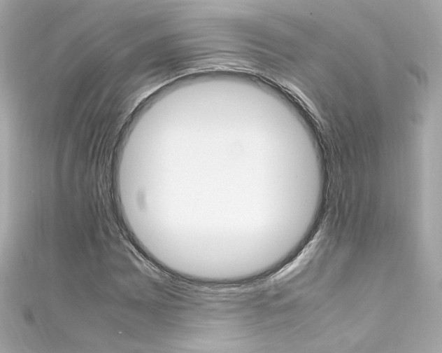 X0000111601065200907161209