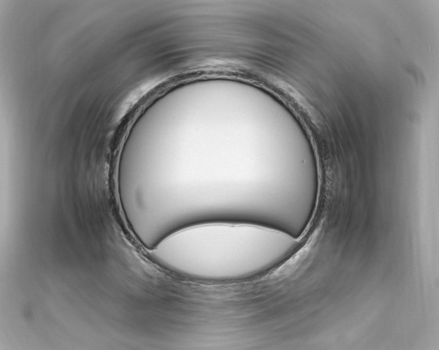X0000111601066200907161209
