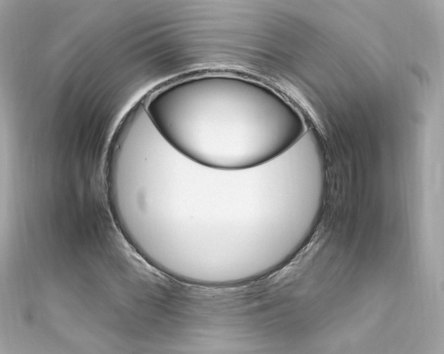 X0000111601068200907161209
