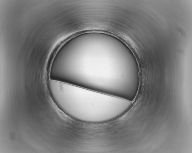X0000111601072200907161209