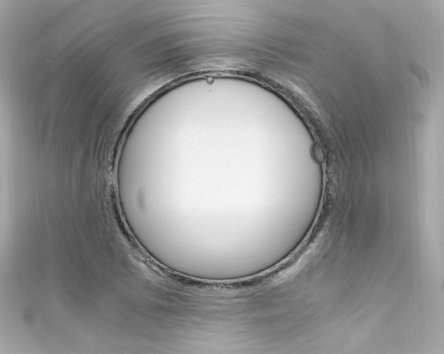 X0000111601073200907161209
