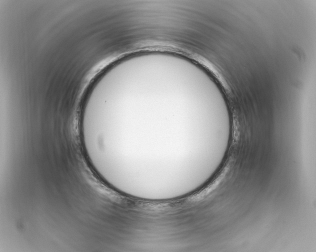 X0000111601074200907161209