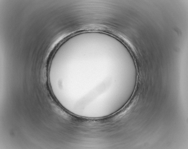 X0000111601075200907161209