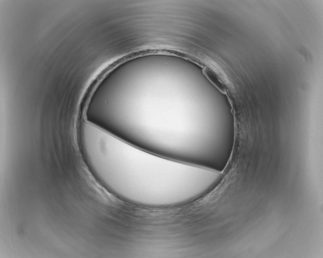 X0000111601076200907161209