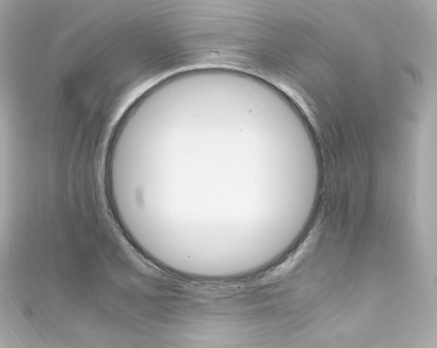 X0000111601077200907161209