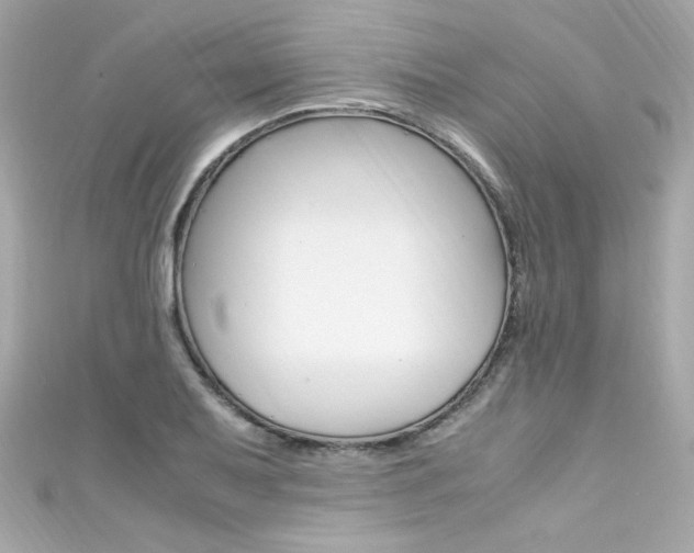 X0000111601079200907161209