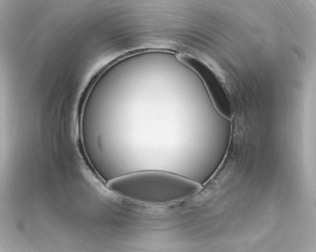 X0000111601080200907161209