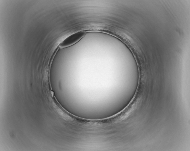 X0000111601081200907161209