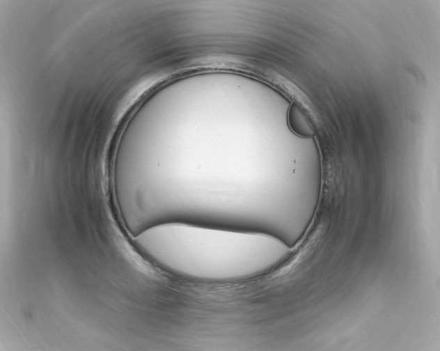 X0000111601082200907161209