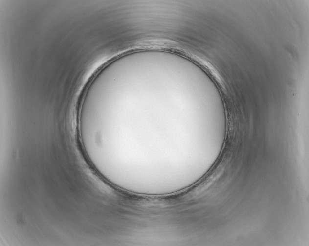 X0000111601083200907161209