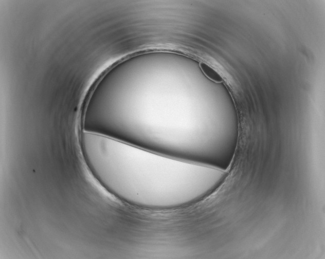 X0000111601084200907161209
