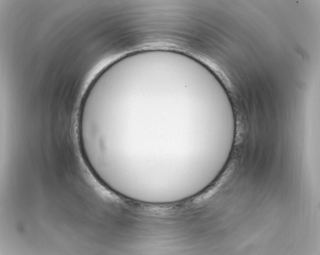 X0000111601086200907161209