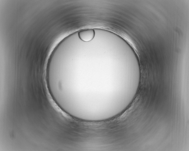 X0000111601088200907161209