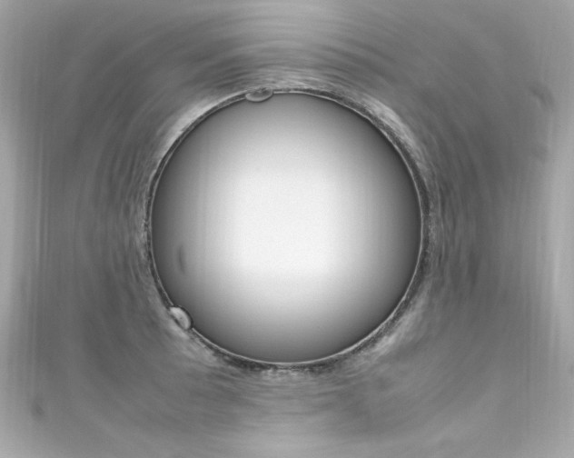 X0000111601089200907161209