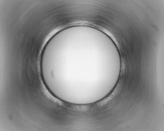 X0000111601090200907161209