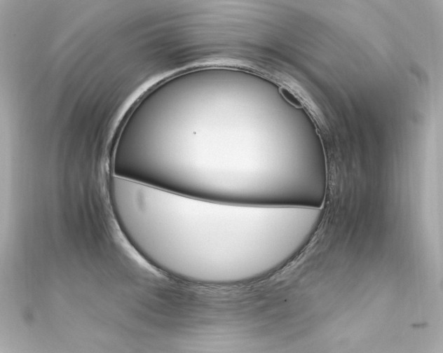 X0000111601092200907161208