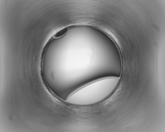 X0000111601093200907161208