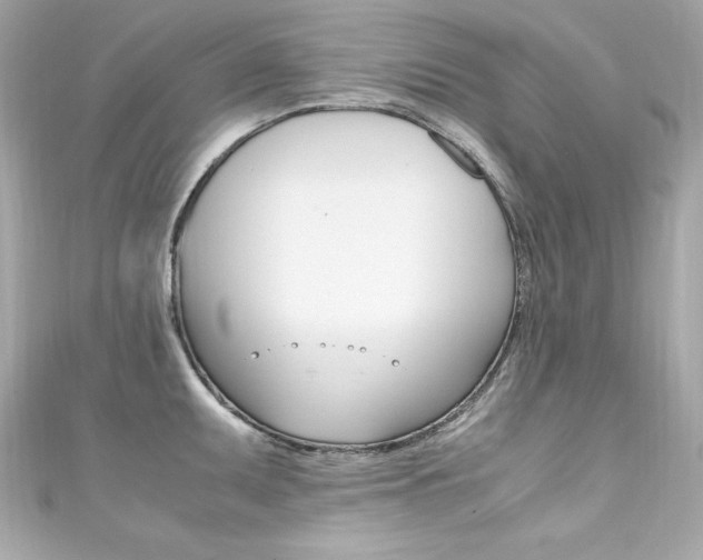 X0000111601095200907161208