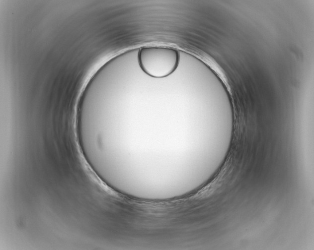 X0000111601096200907161208