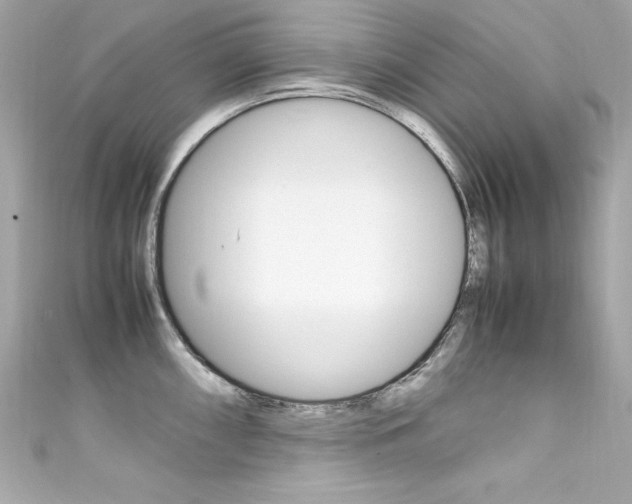 X0000111601098200907161208