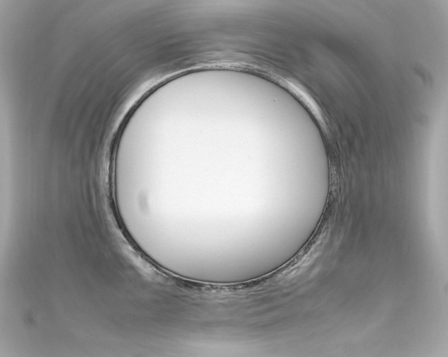 X0000111601099200907161208
