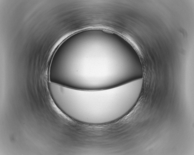 X0000111601100200907161208