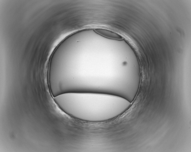 X0000111601102200907161208
