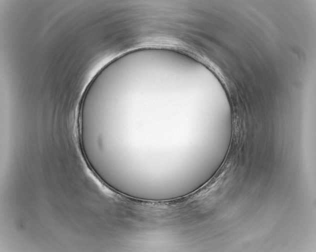 X0000111601103200907161208