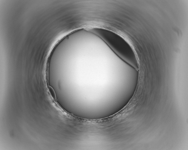 X0000111601104200907161208