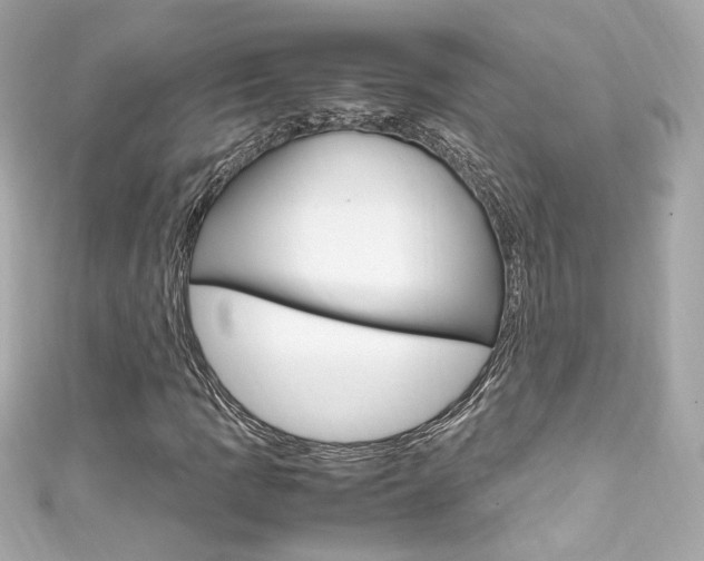 X0000111601109200907161208
