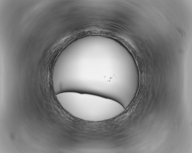 X0000111601111200907161208