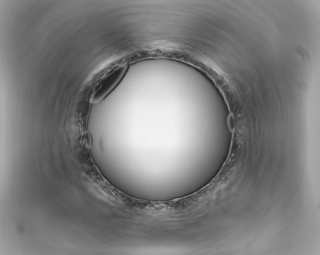 X0000111601112200907161208
