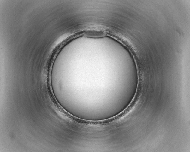 X0000111601114200907161208