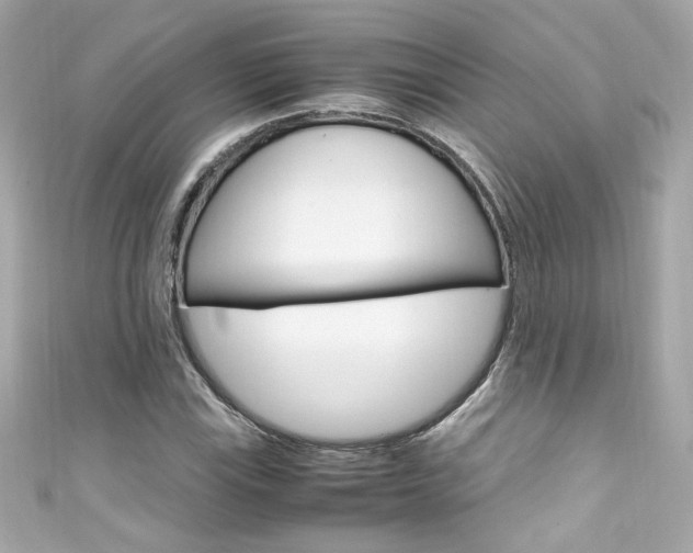 X0000111601115200907161208