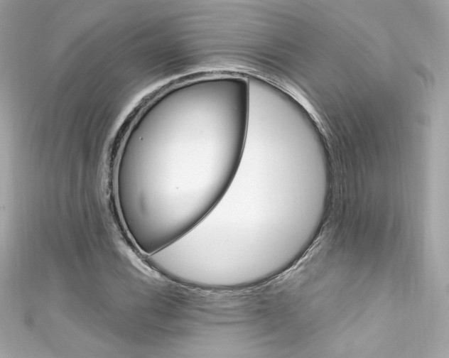 X0000111601116200907161208
