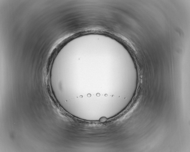 X0000111601117200907161208