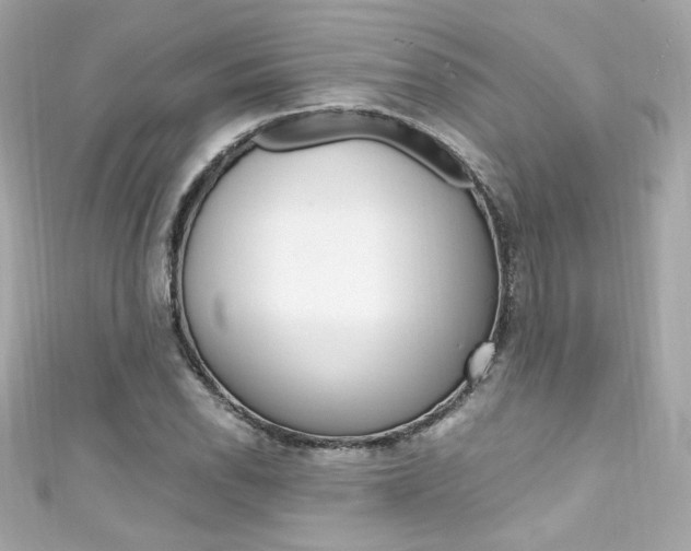 X0000111601118200907161208