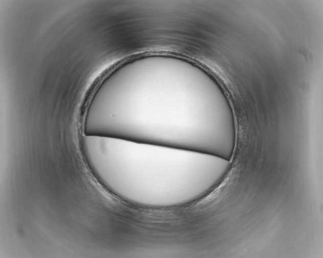 X0000111601119200907161208