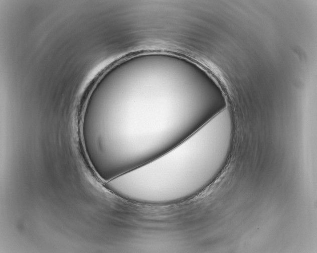 X0000111601120200907161208