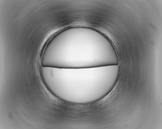 X0000111601123200907161208