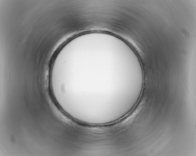X0000111601126200907161208