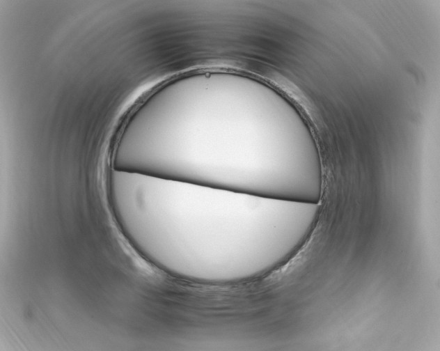 X0000111601127200907161208