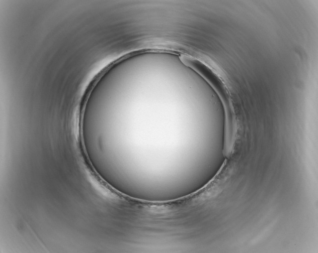 X0000111601128200907161208
